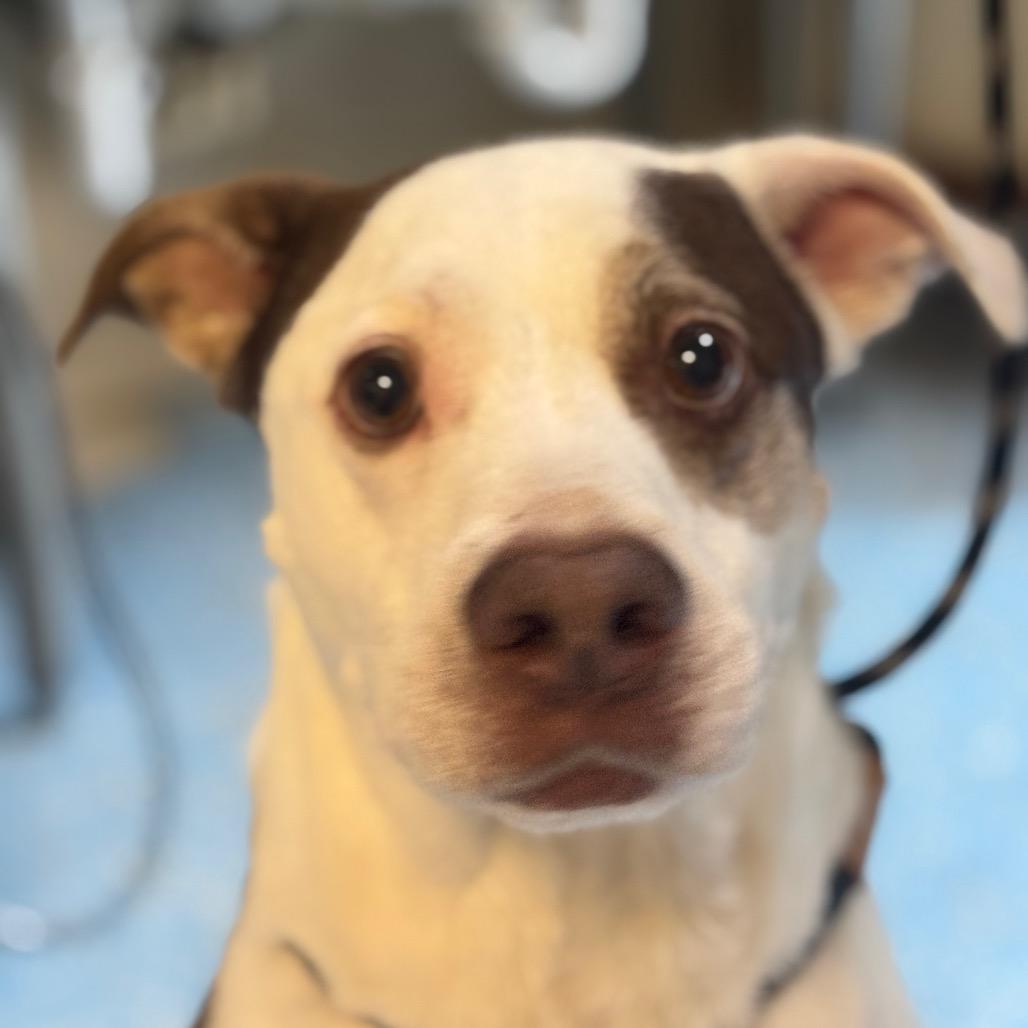 Blue — thumbnail 2