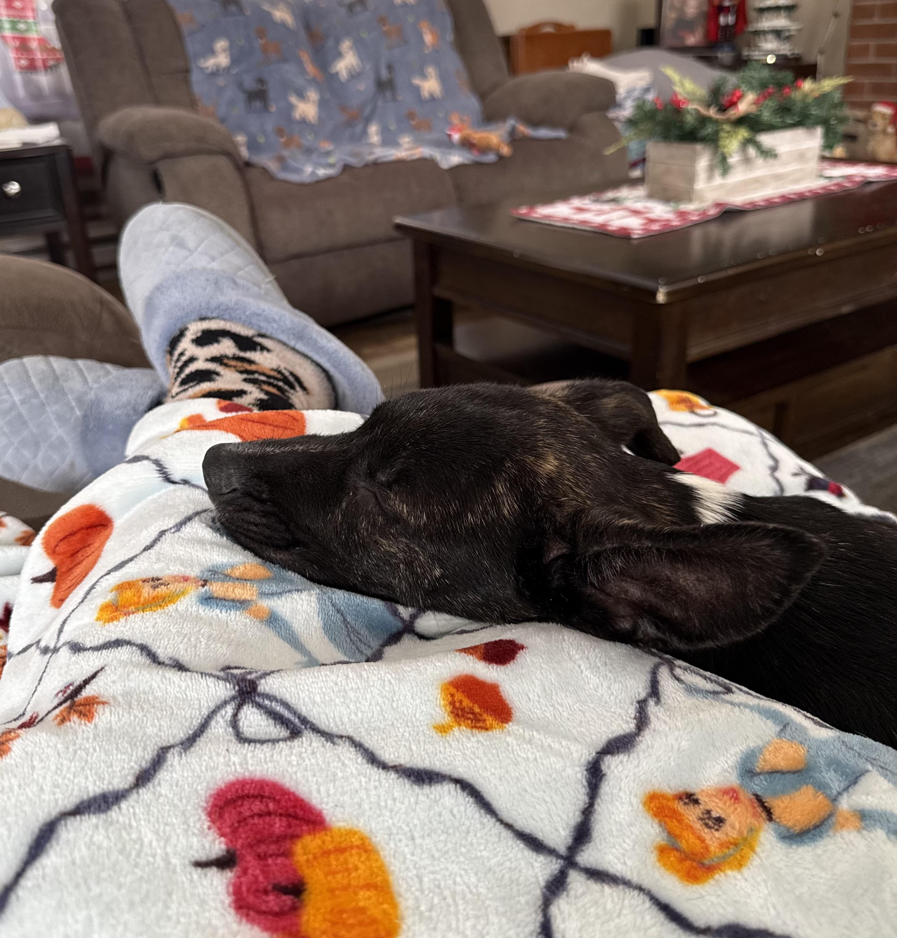 Groot — thumbnail 3