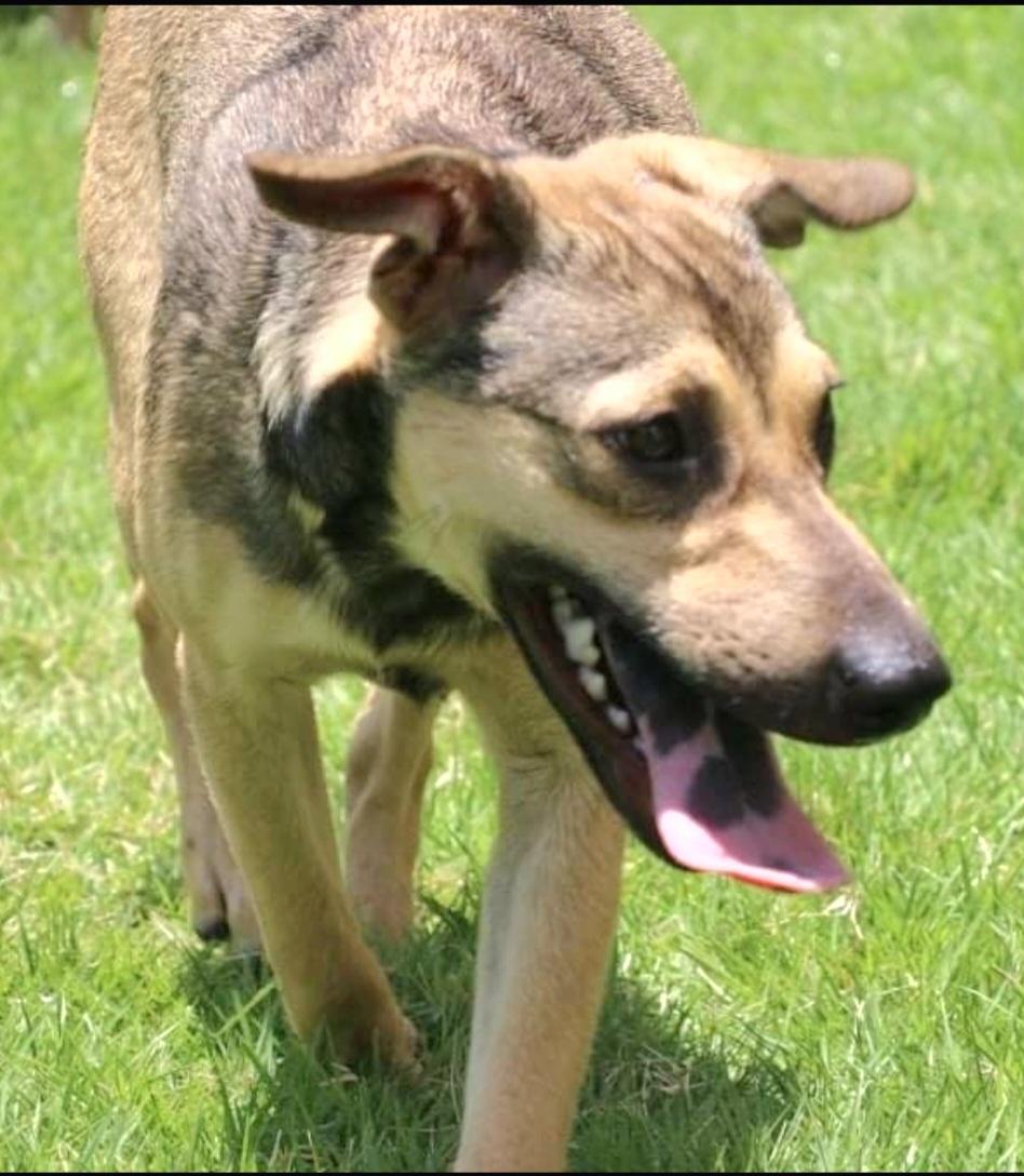 Simon " I Am thumbnail 2