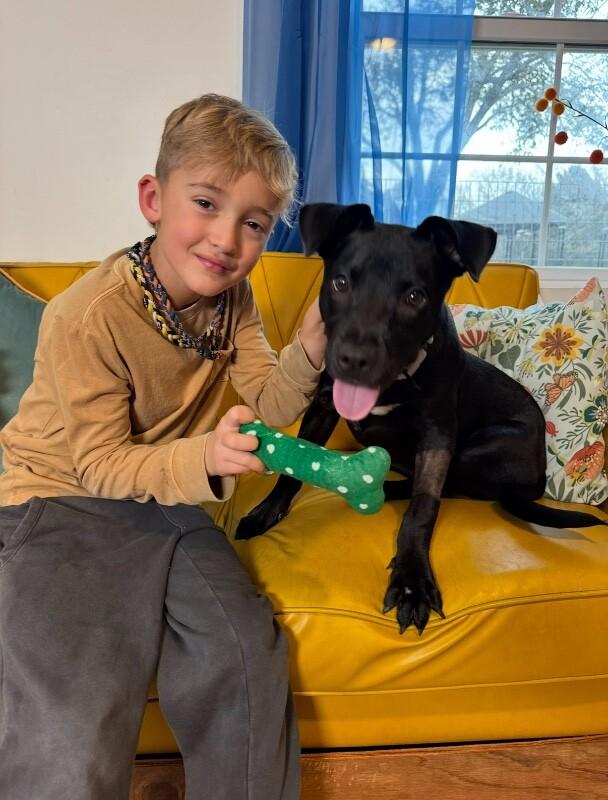 Shadow Mini Hershey Kisses — thumbnail 4