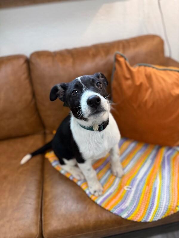 Jaxson happy-go-lucky mcsnugglepants