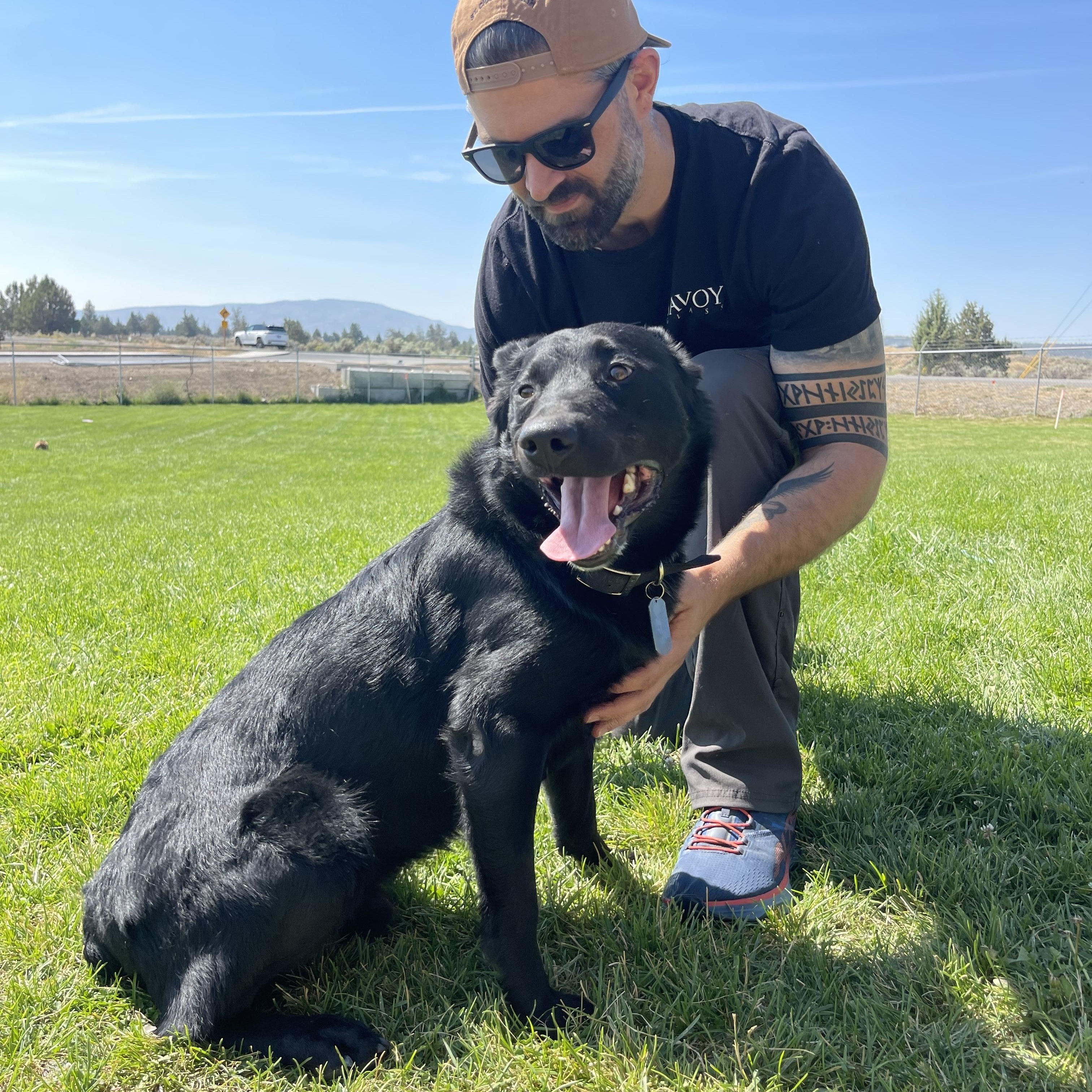 Smokey, an adoptable Border Collie, Black Labrador Retriever in Prineville, OR, 97754 | Photo Image 3