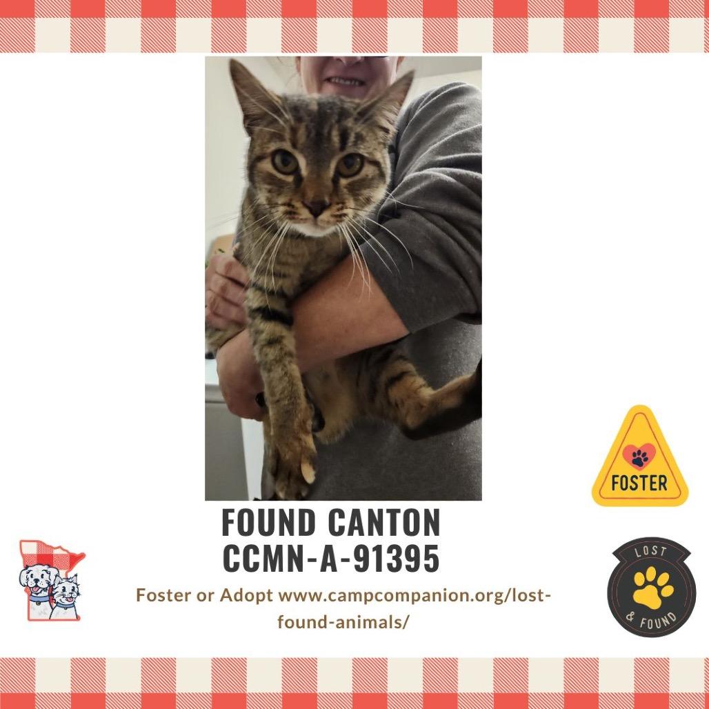 FOUND CANTON — thumbnail 3