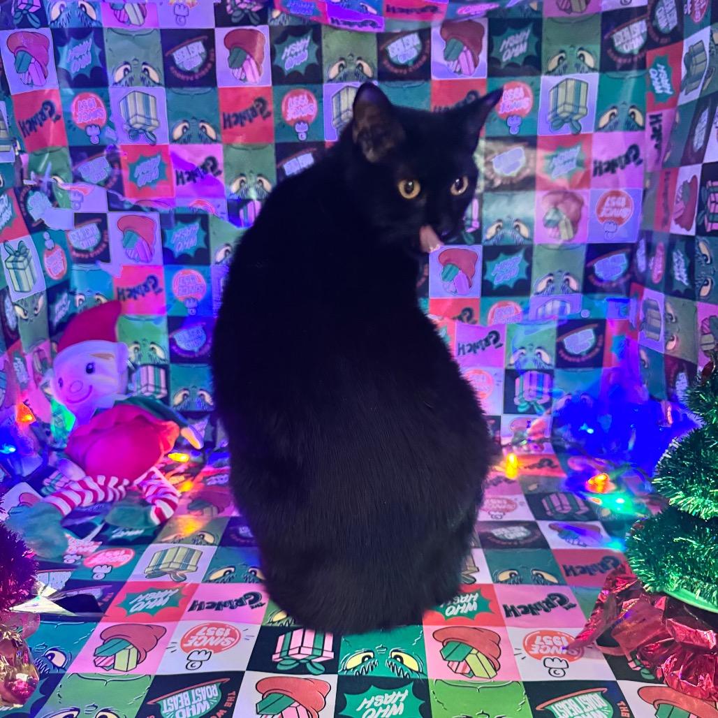 Honeycrisp thumbnail 2