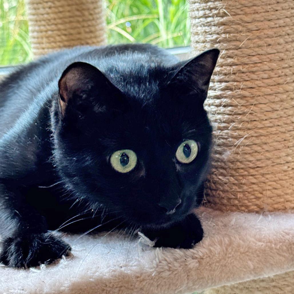 Lexi 2 — thumbnail 2