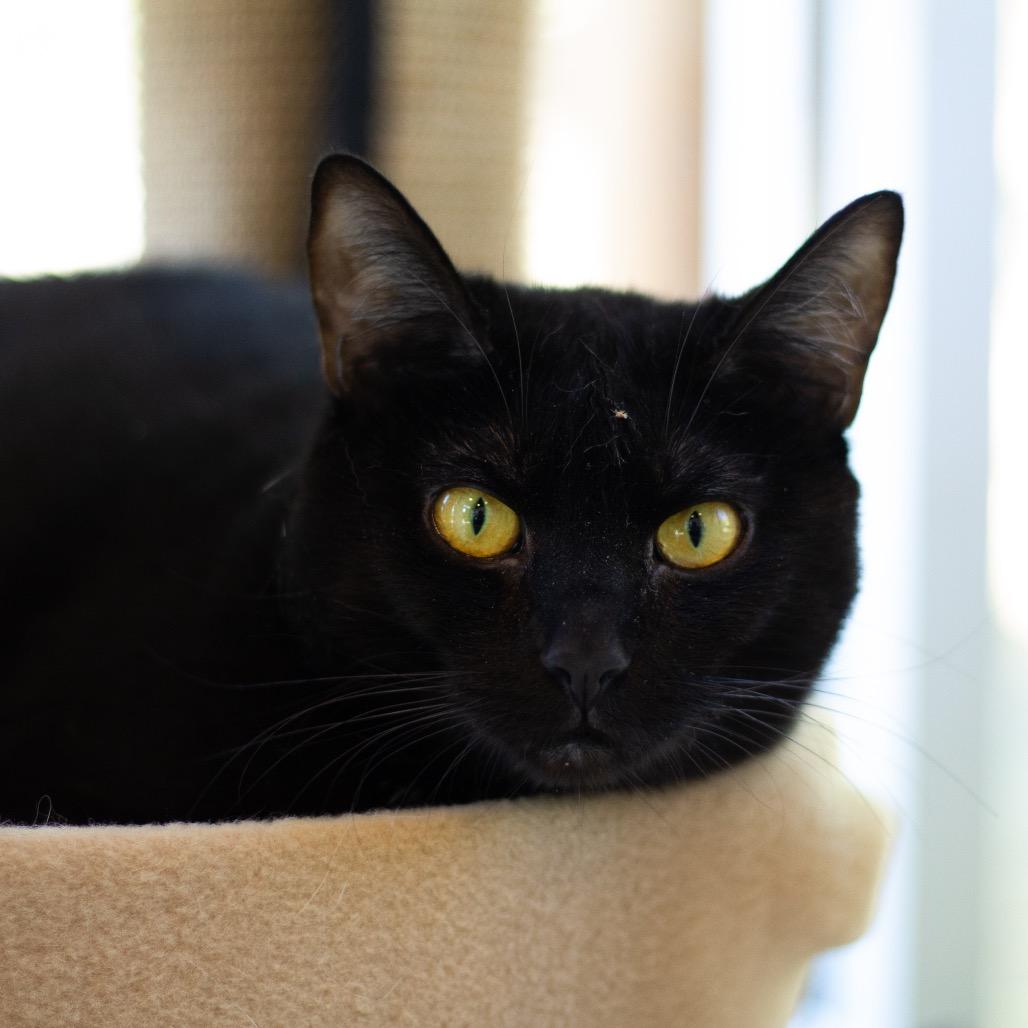 Lexi 2 — thumbnail 3