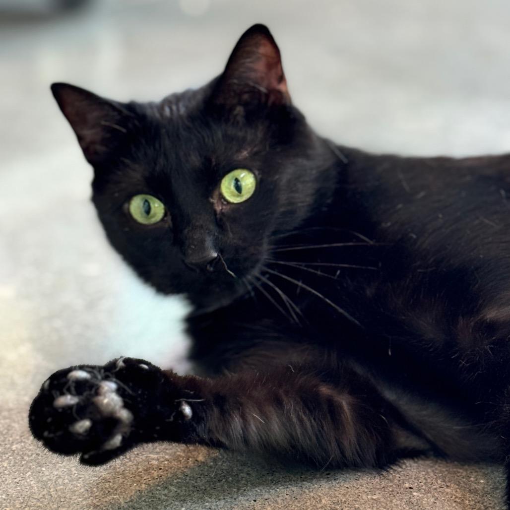 Lexi 2 — thumbnail 4