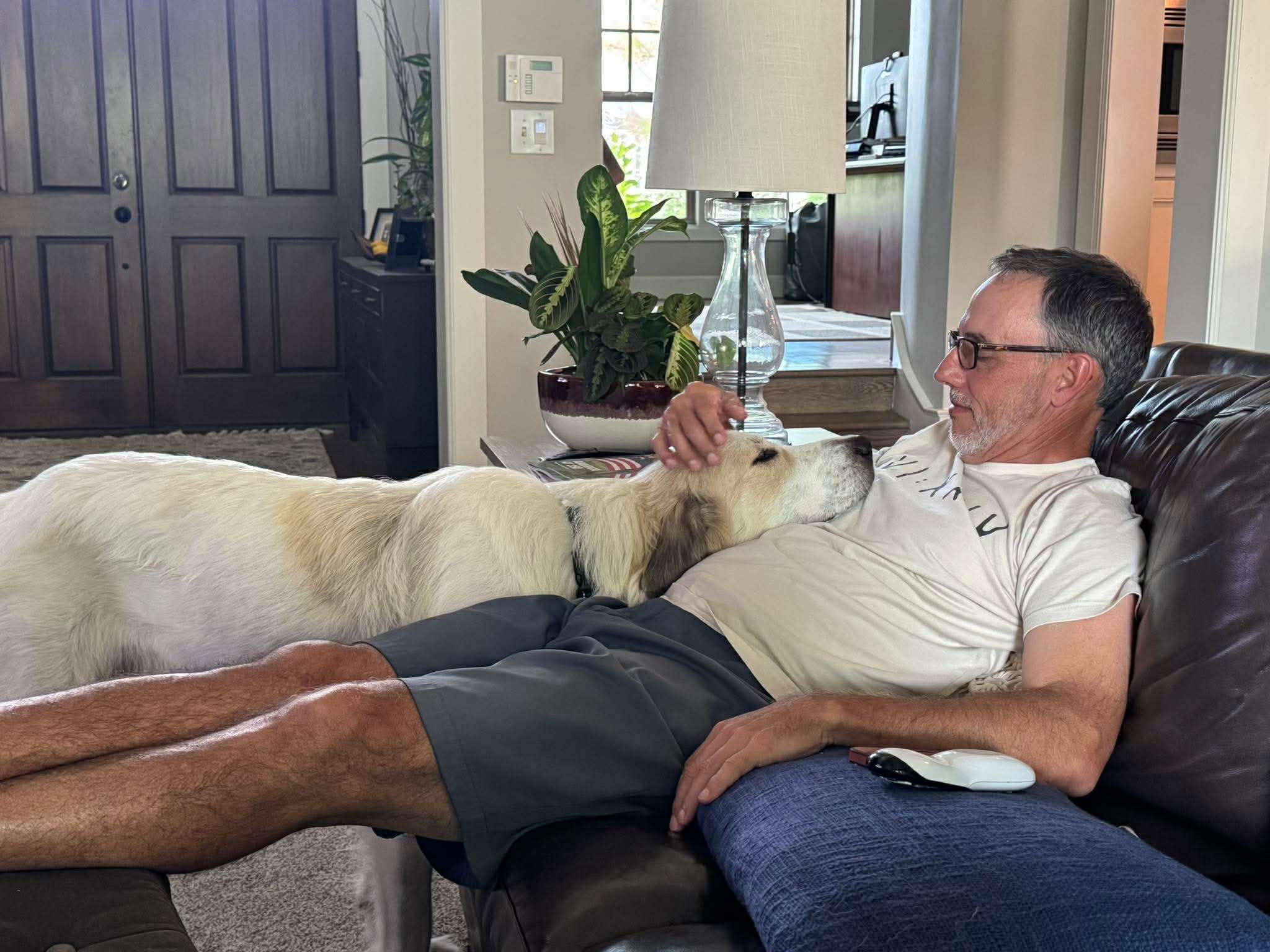 Enlarge Aliza, an adopted Great Pyrenees in Kiowa, OK image 6/6