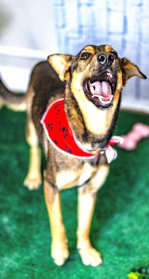 Princess Lea — thumbnail 3