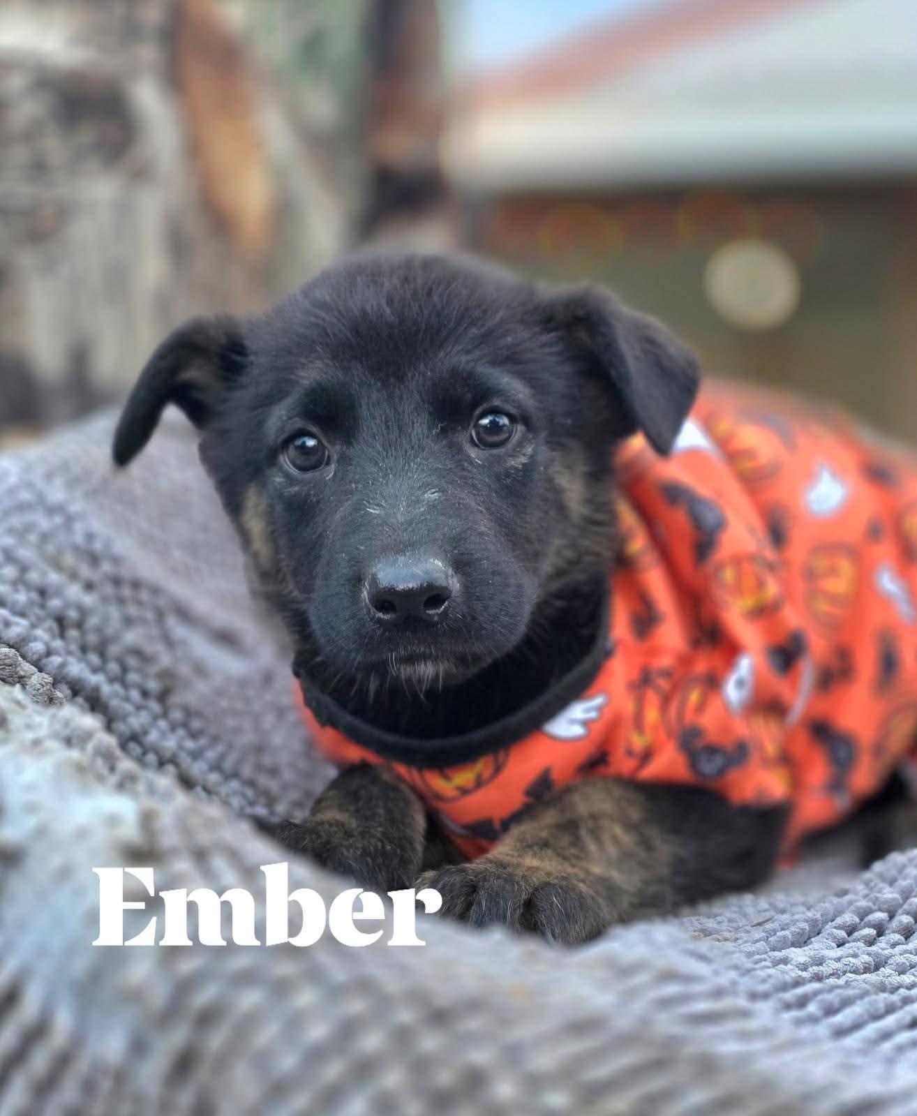 Ember