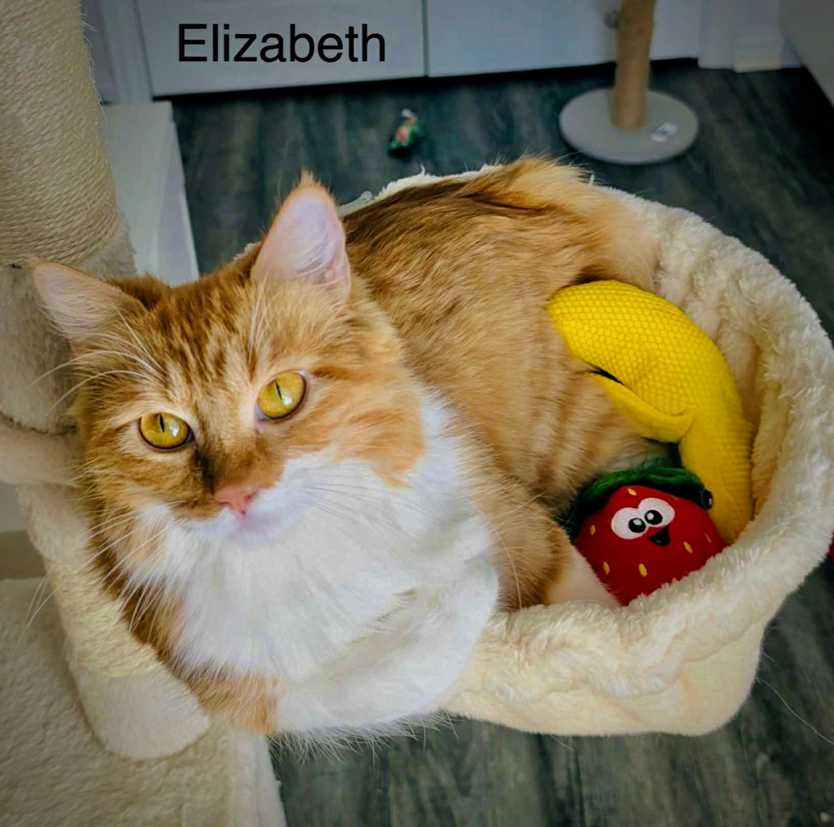 Elizabeth — thumbnail 3