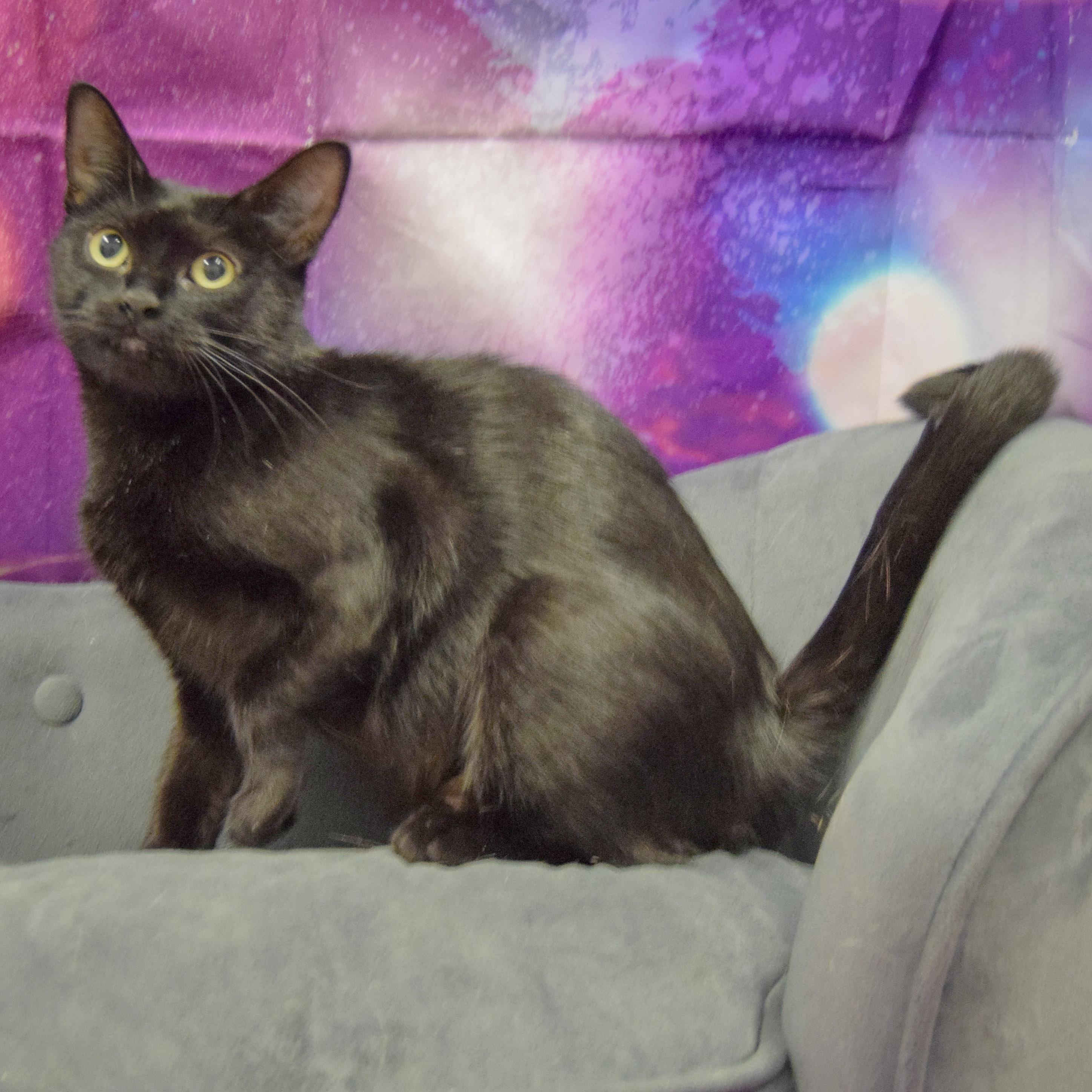Luna