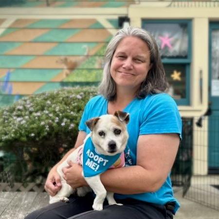 Enlarge Peter Piper, a Adoptable Jack Russell Terrier in Pacific Grove, CA image 5/6
