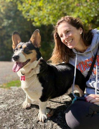 Enlarge Petunia, a Adoptable Corgi in Bedford Hills, NY image 4/6