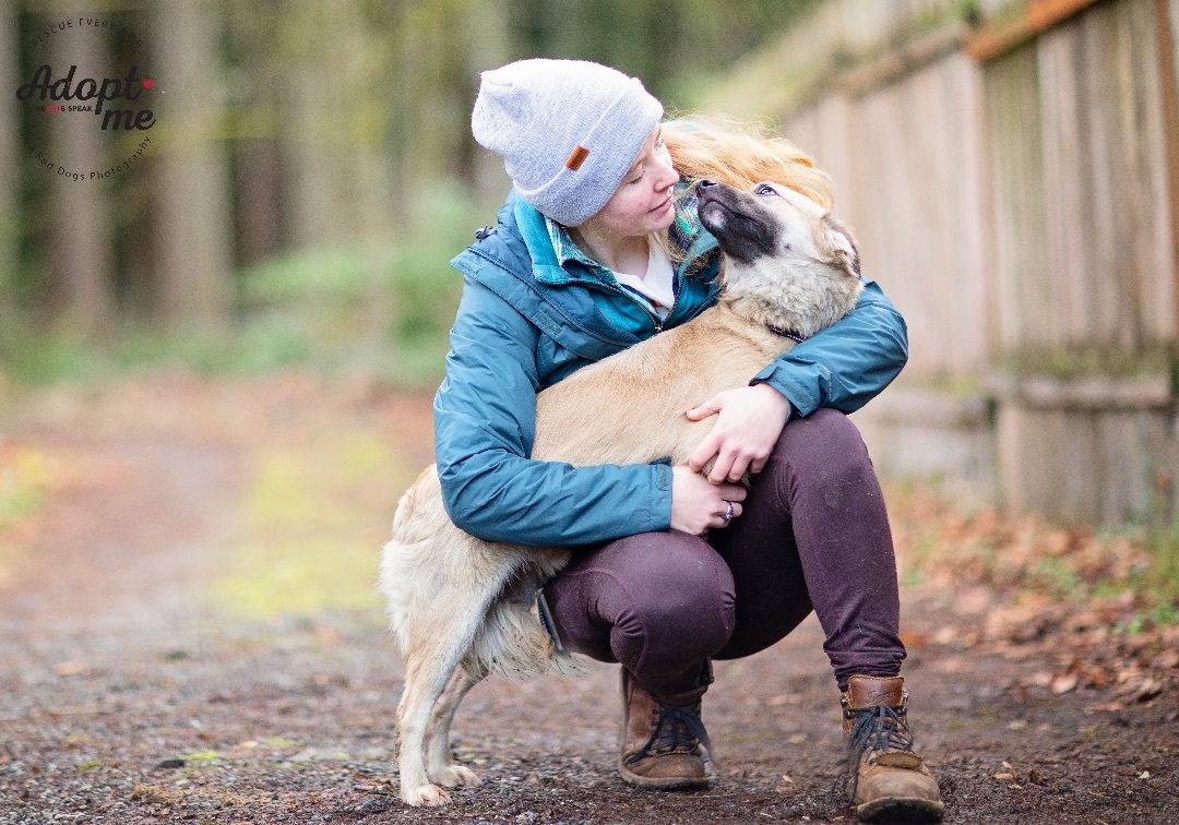 Forest, a Adoptable mixed breed in Seattle, WA image 5/6