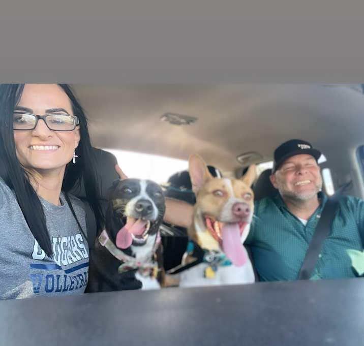 Enlarge Layla, a Adoptable mixed breed in Inez, TX image 2/4