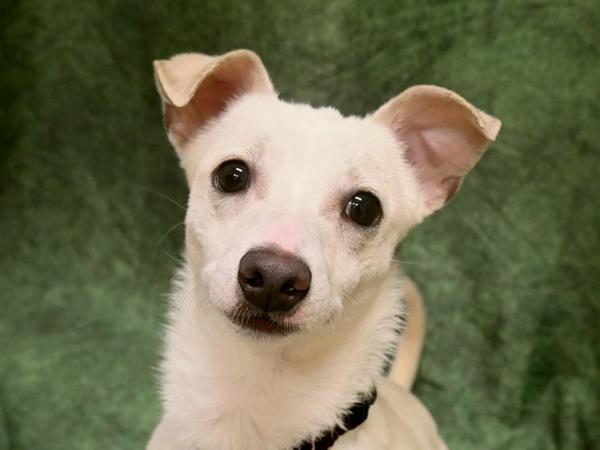 Craig — thumbnail 2