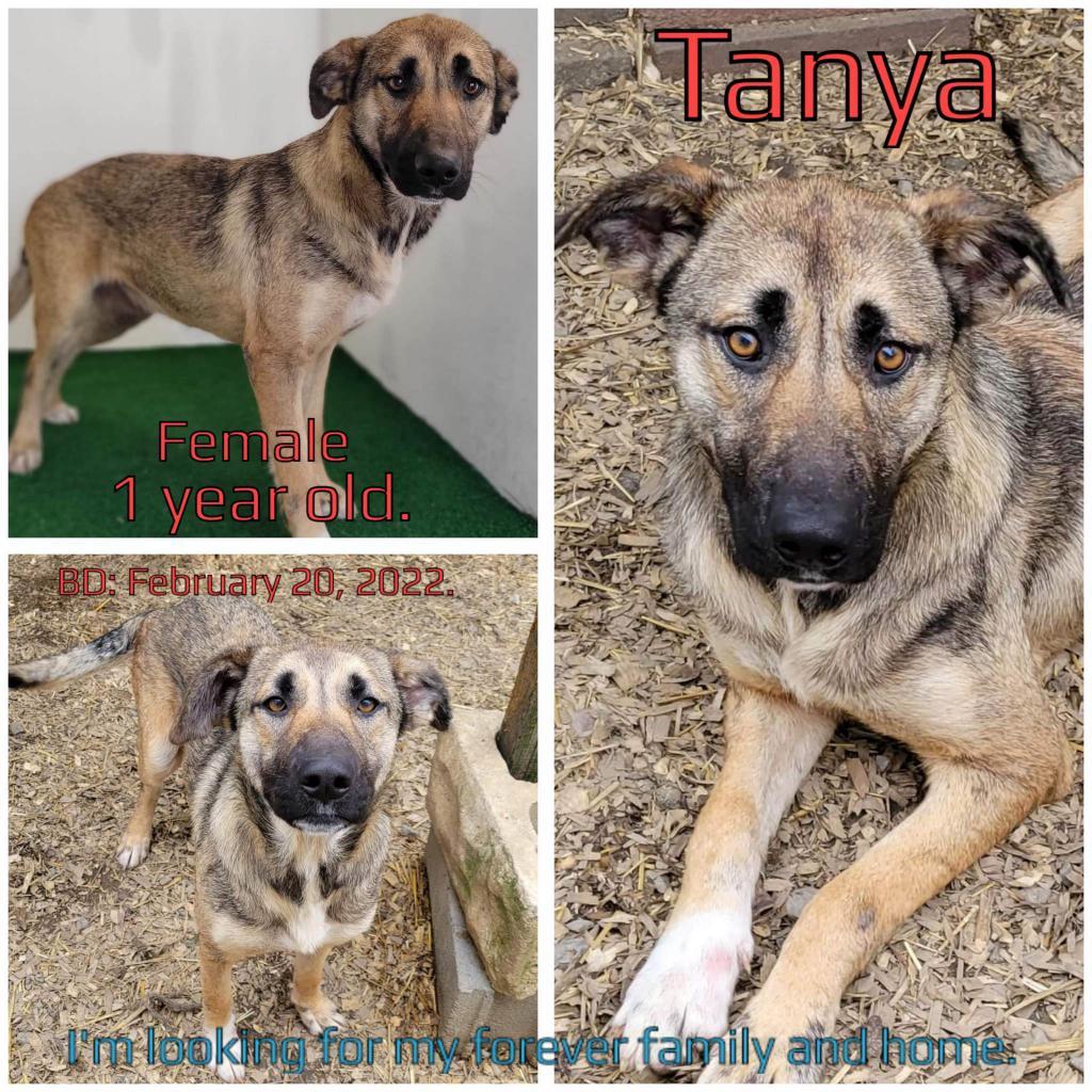 Tanya — thumbnail 2