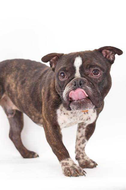 Gomez — thumbnail 2