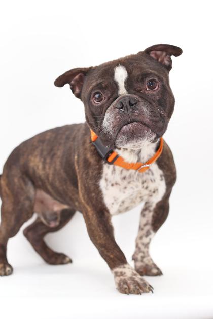 Gomez — thumbnail 3