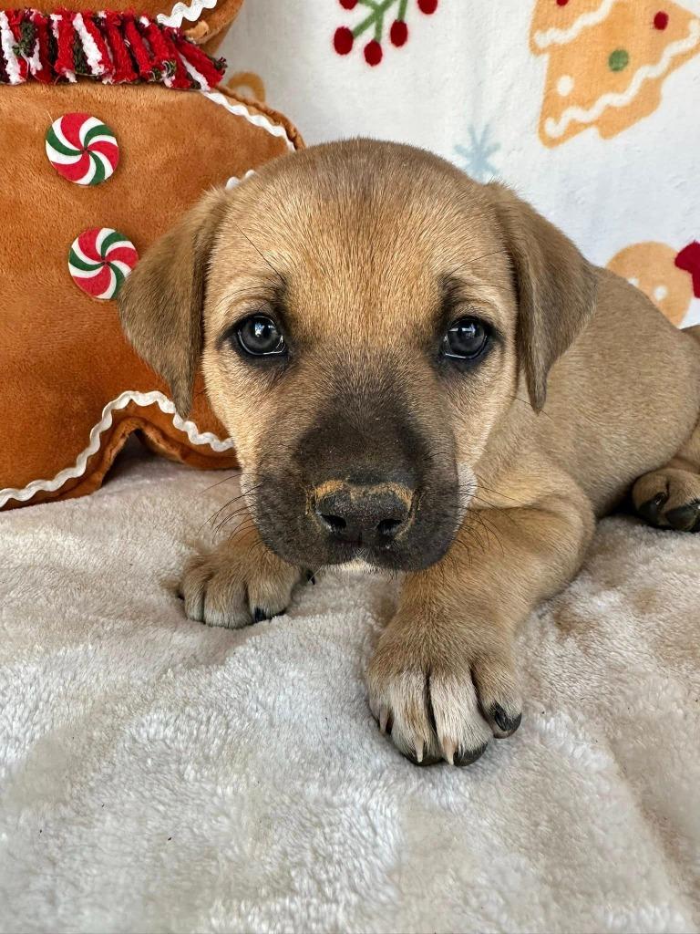 June Gentry thumbnail 3