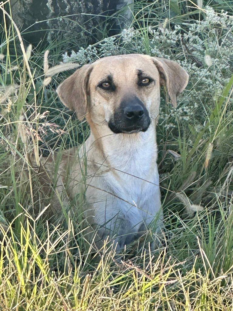 June Gentry thumbnail 4