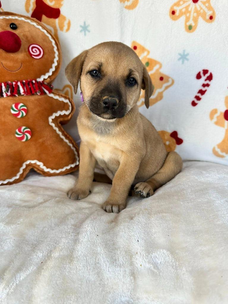 June Gentry thumbnail 5