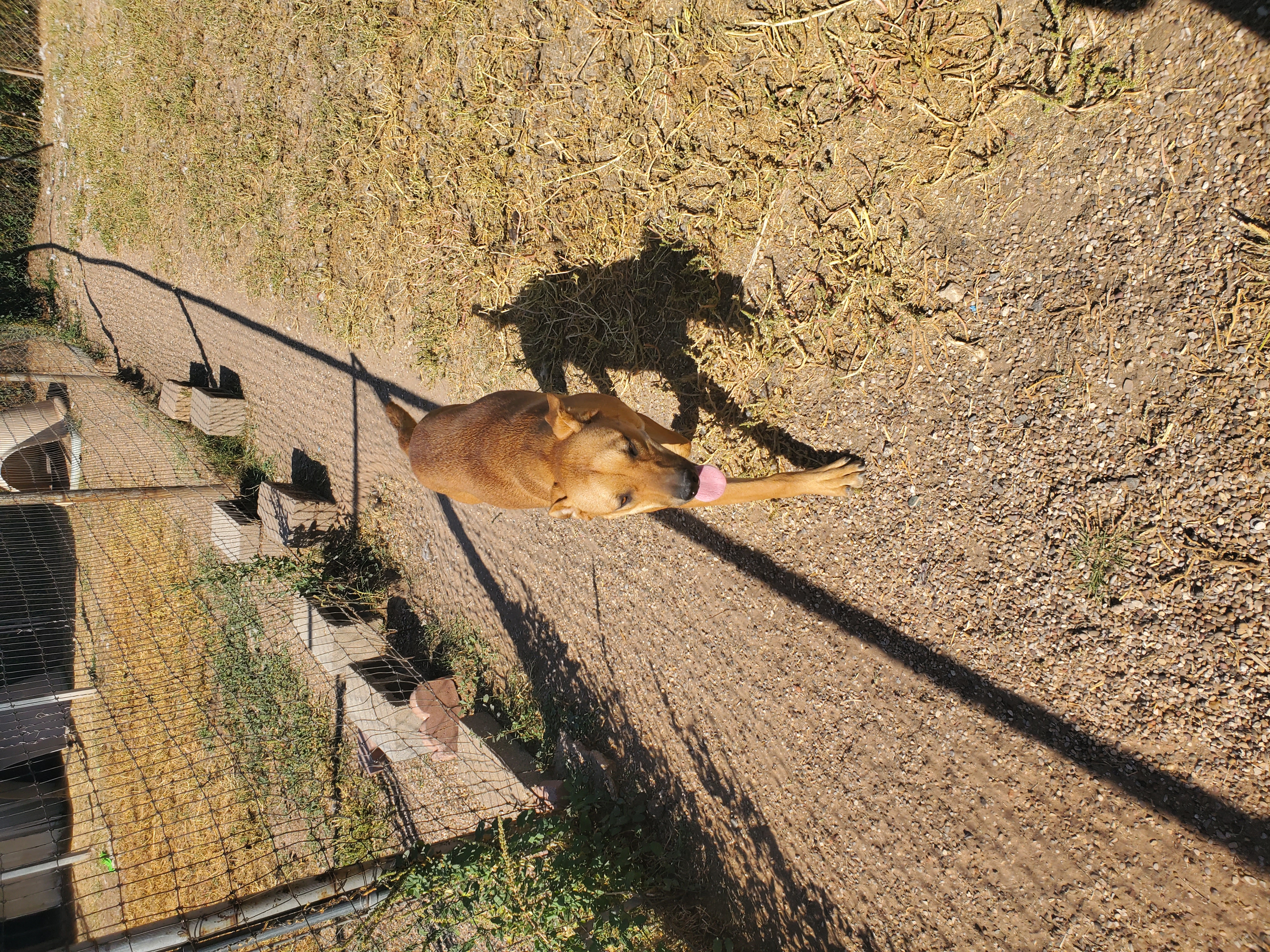 Marshall — thumbnail 5