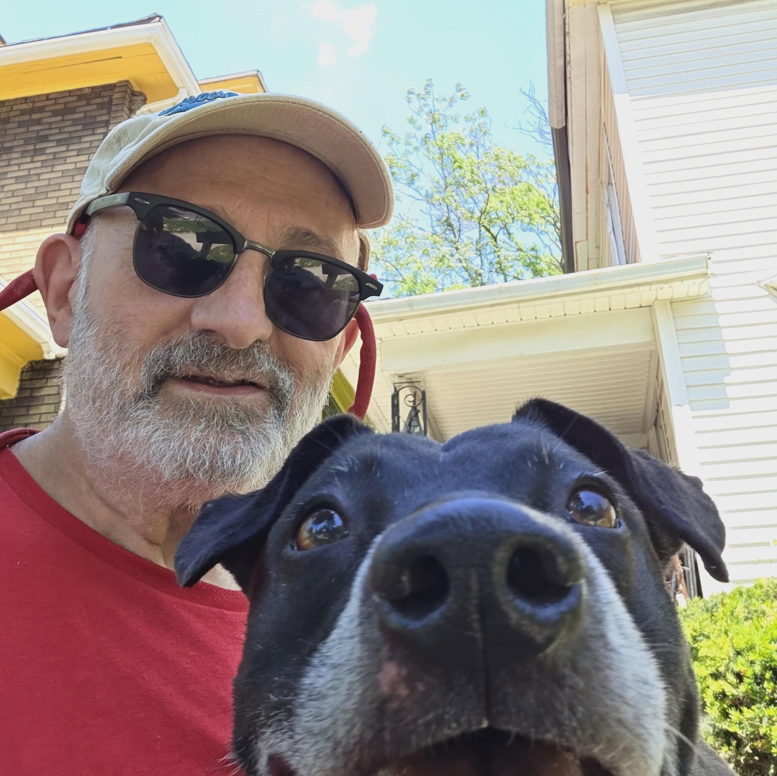 Cassie: Adopt or Forever Foster, Adoptable, Adult Female Black Labrador Retriever.