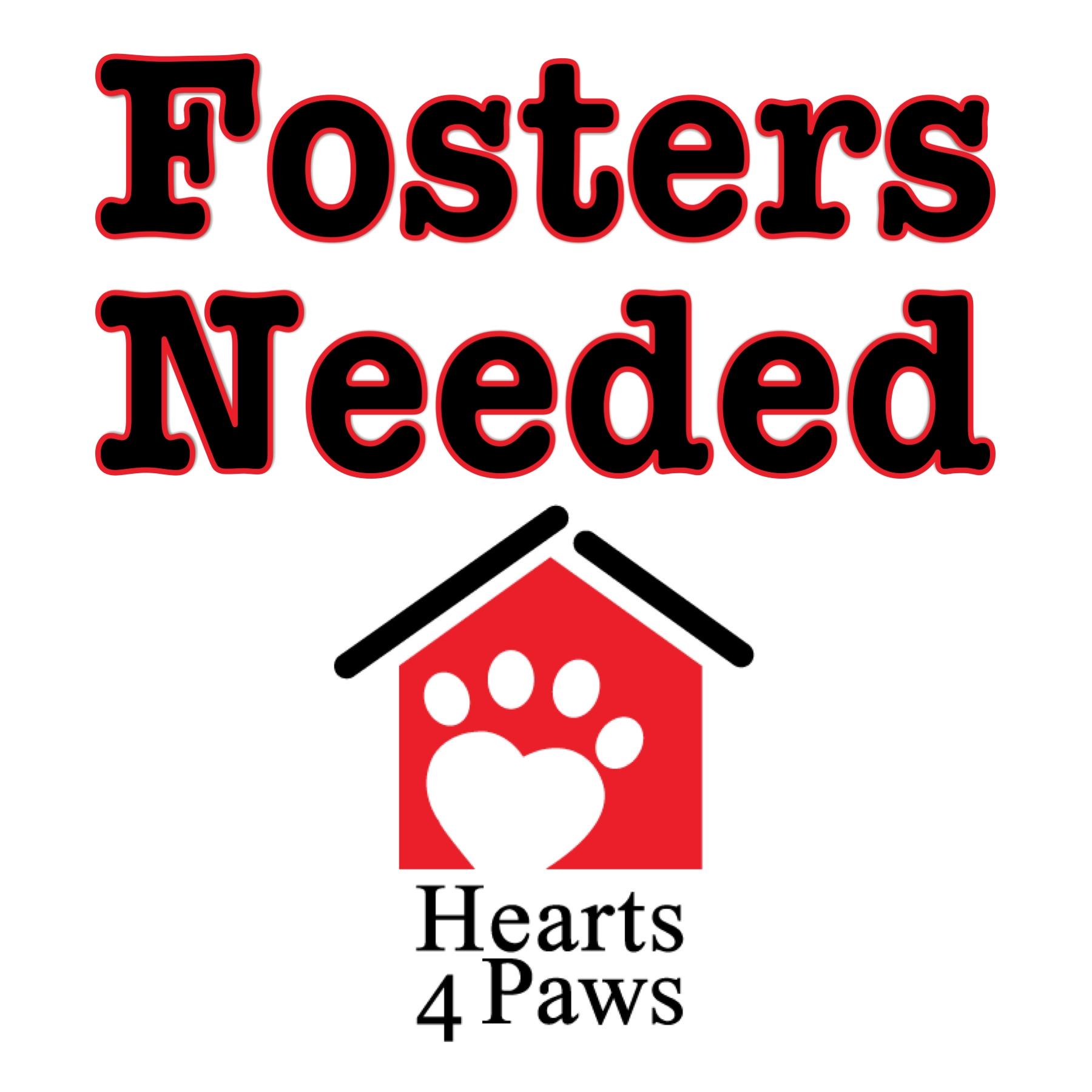 Enlarge Foster homes needed , a Adoptable mixed breed in West Valley, UT image 6/12