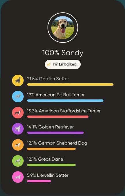 Enlarge Sandy, a ADOPTABLE mixed breed in Colville , WA image 2/5