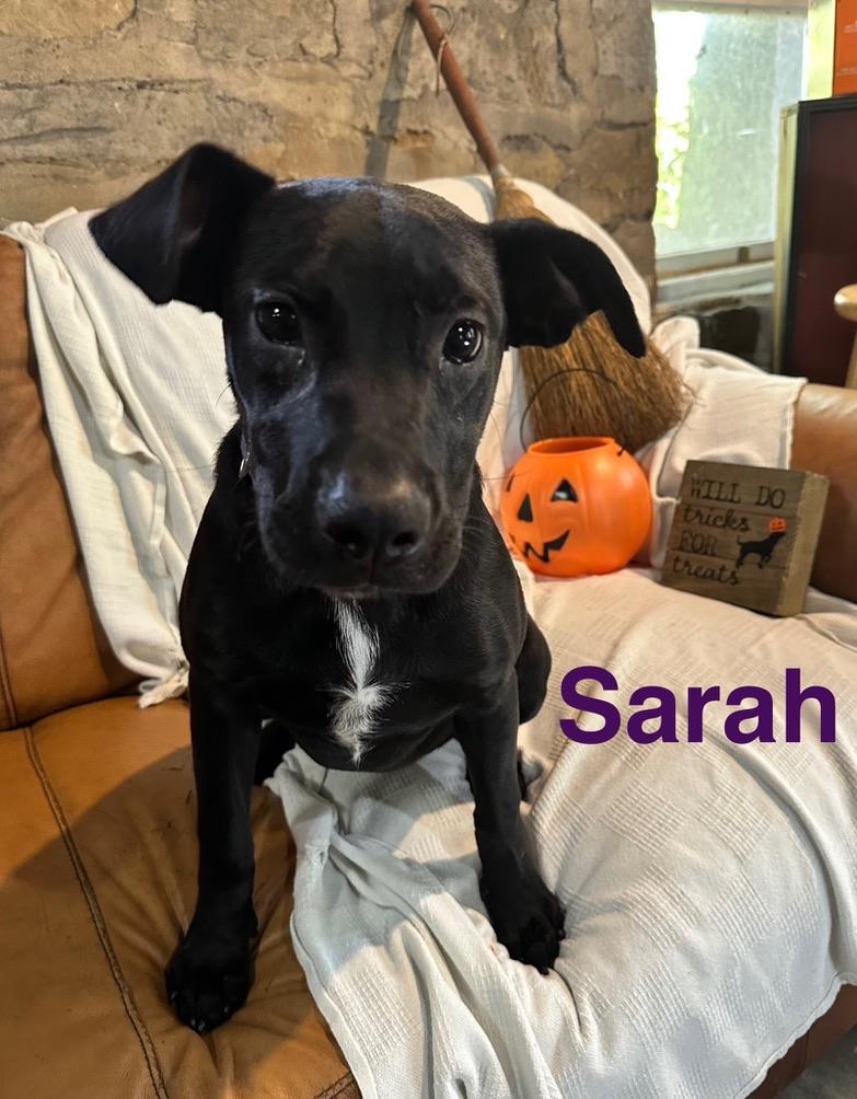 Sara