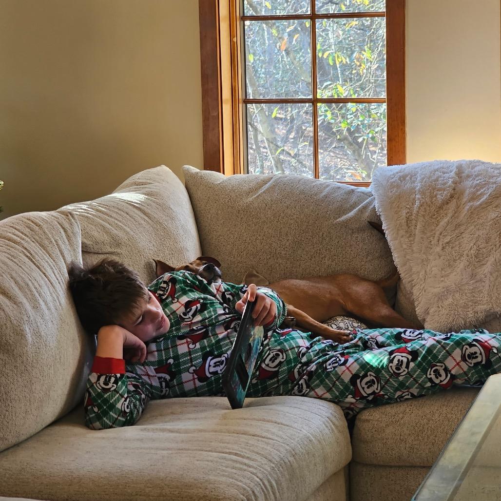 Ezra, Adoptable, Young Female Mixed Breed.