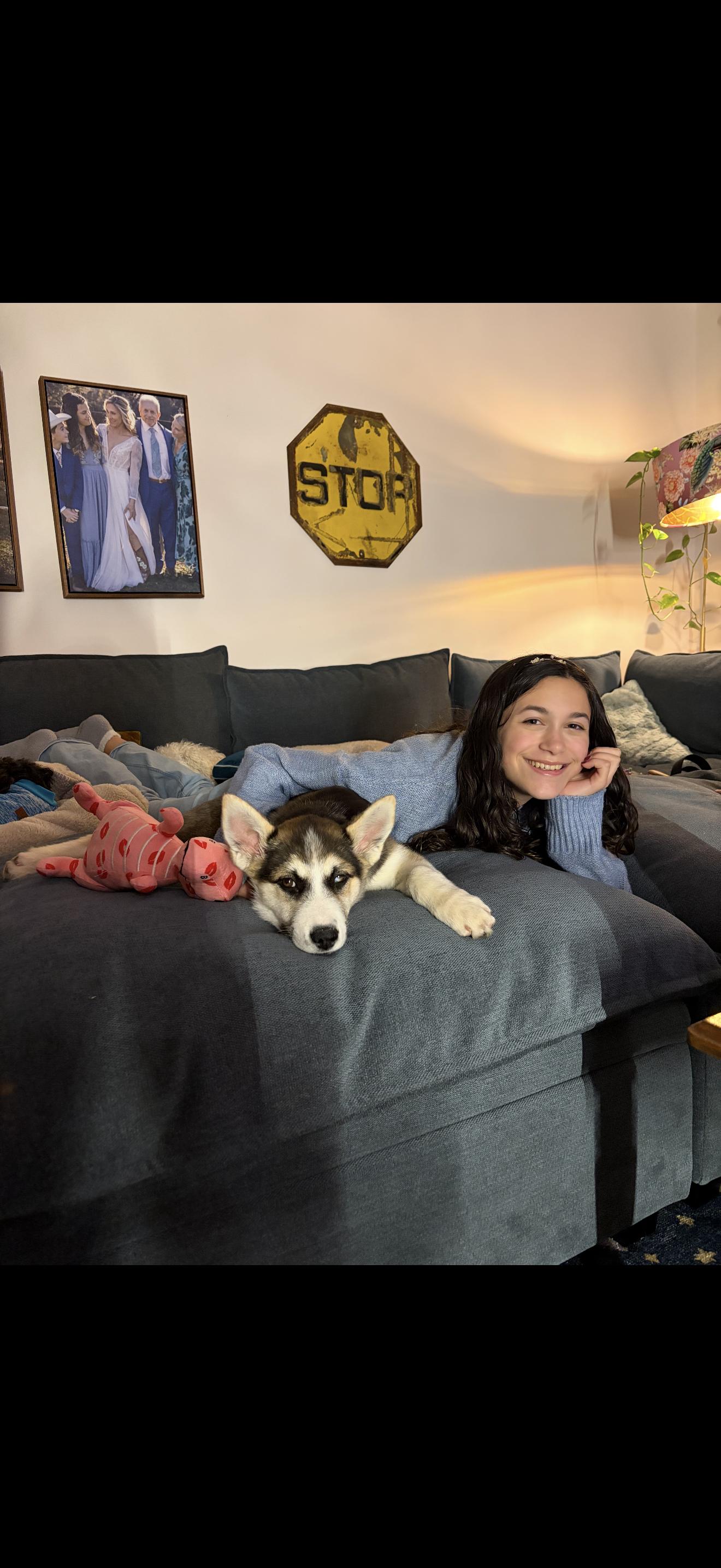 Enlarge Pepper aka mila, a Adoptable mixed breed in Bradenton, FL image 5/6