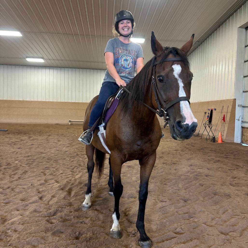 Enlarge Lindsay - Lohanesberg, a Adoptable Quarterhorse in Fairport, NY image 2/6
