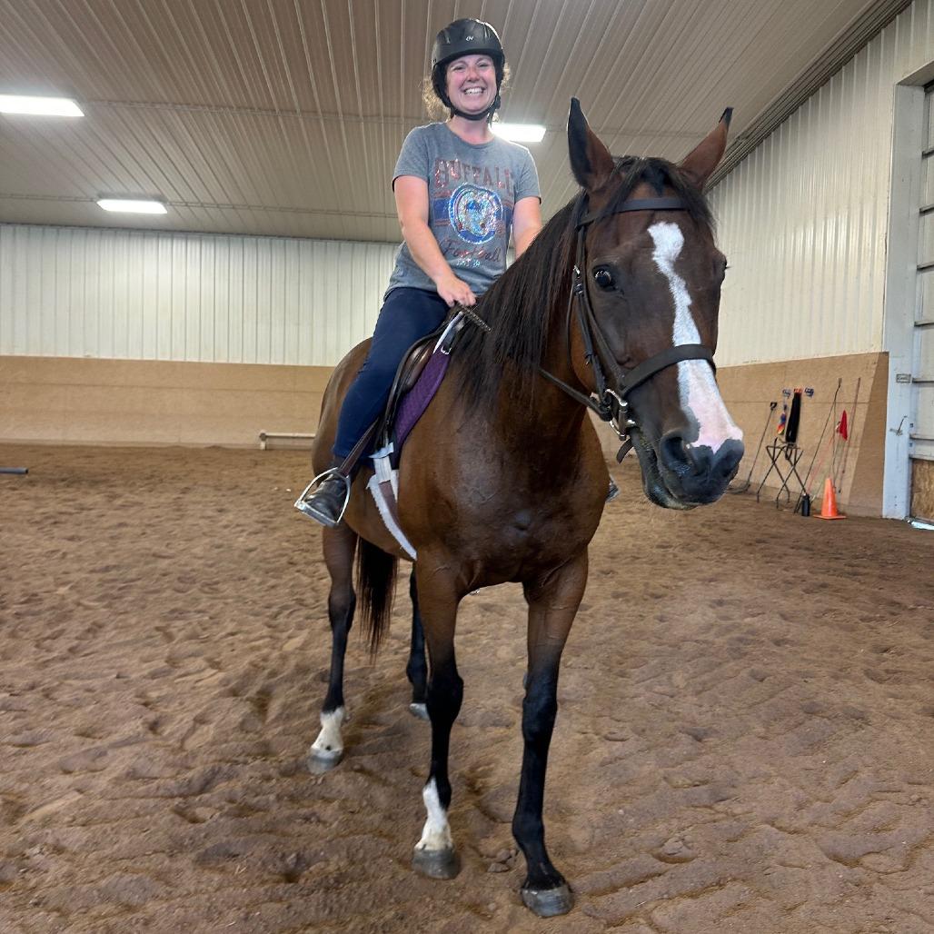 Lindsay - Lohanesberg, a Adoptable Quarterhorse in Fairport, NY image 4/6