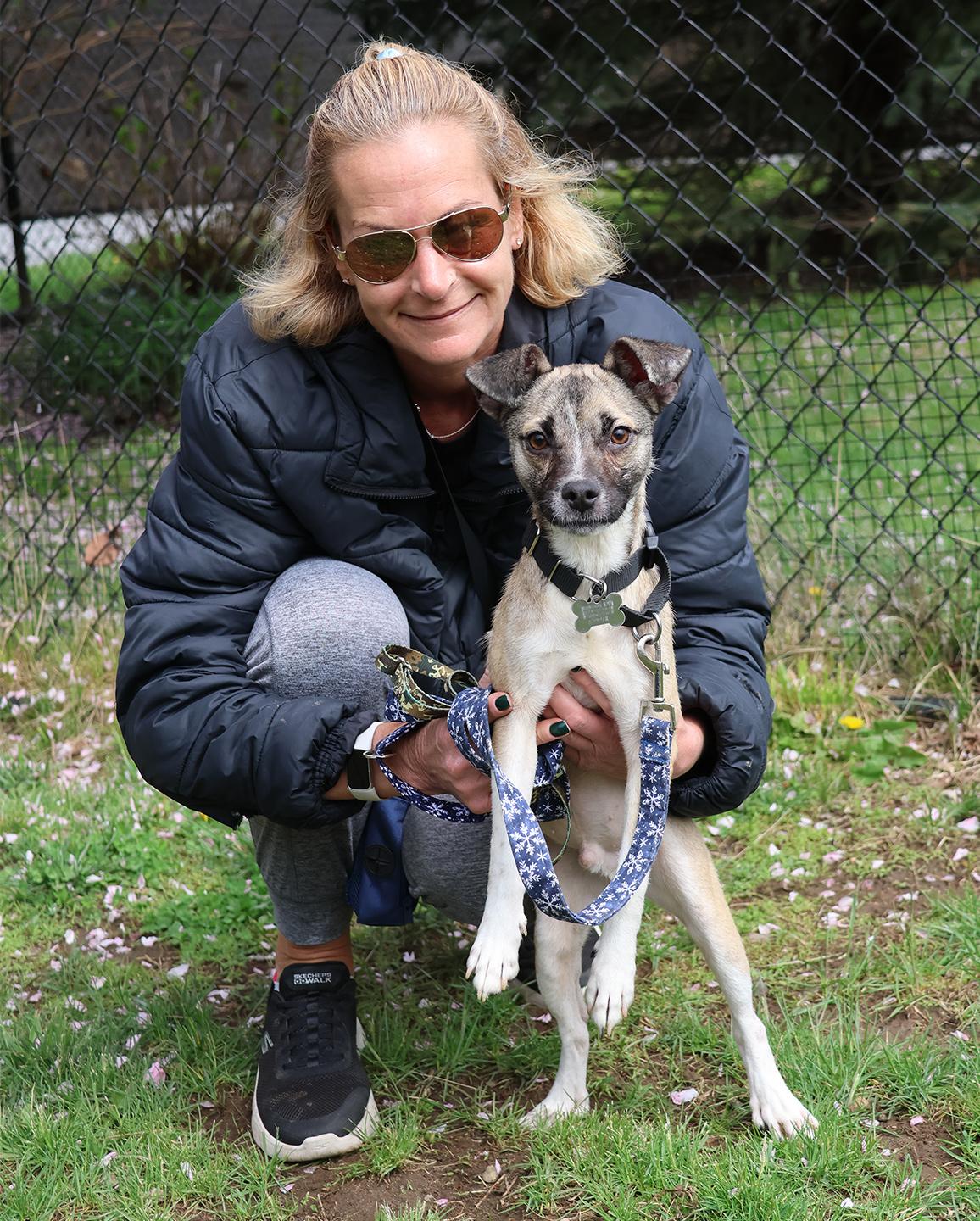 Enlarge Lilo, an adopted mixed breed in Harrison, NY image 4/4