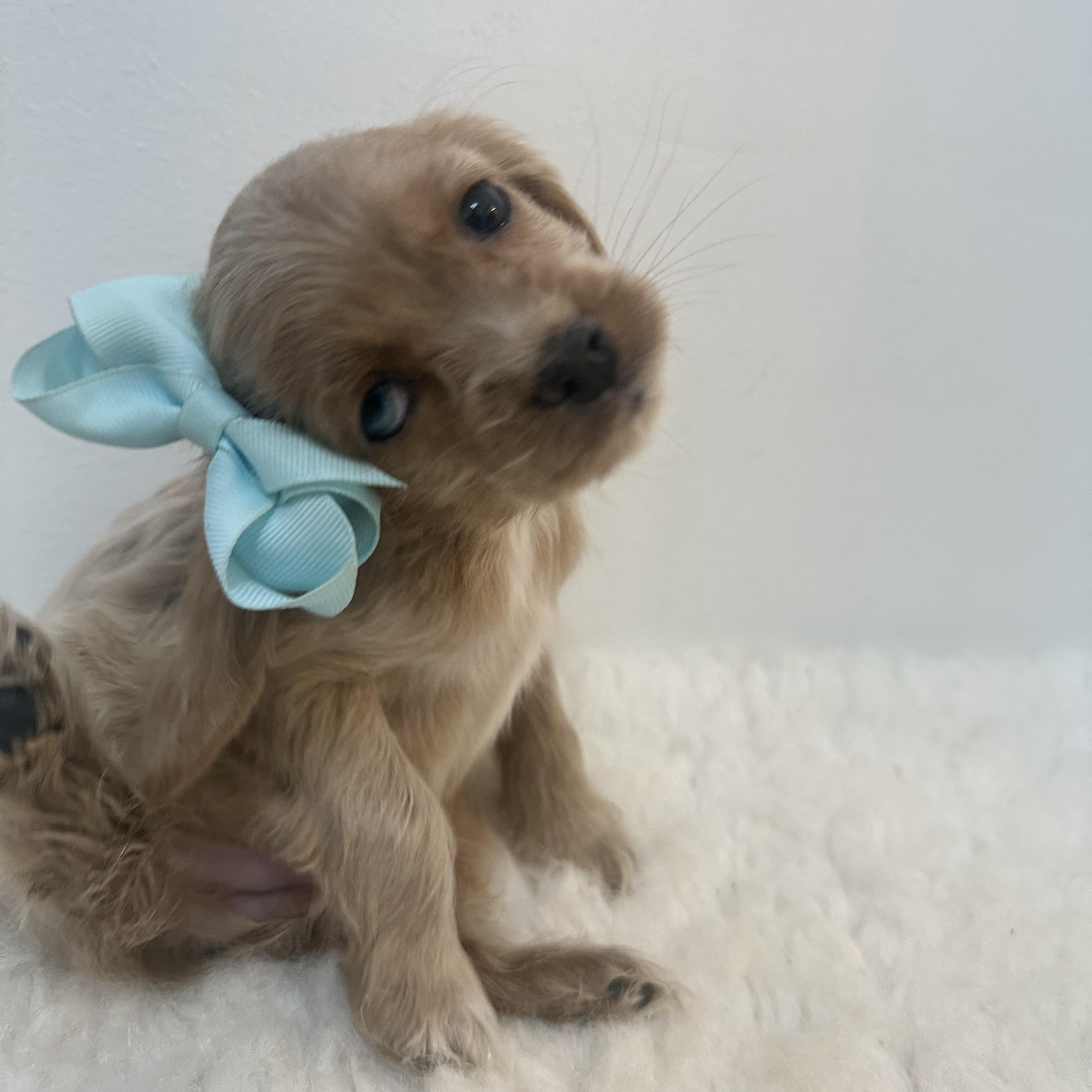 Rosalina thumbnail 2