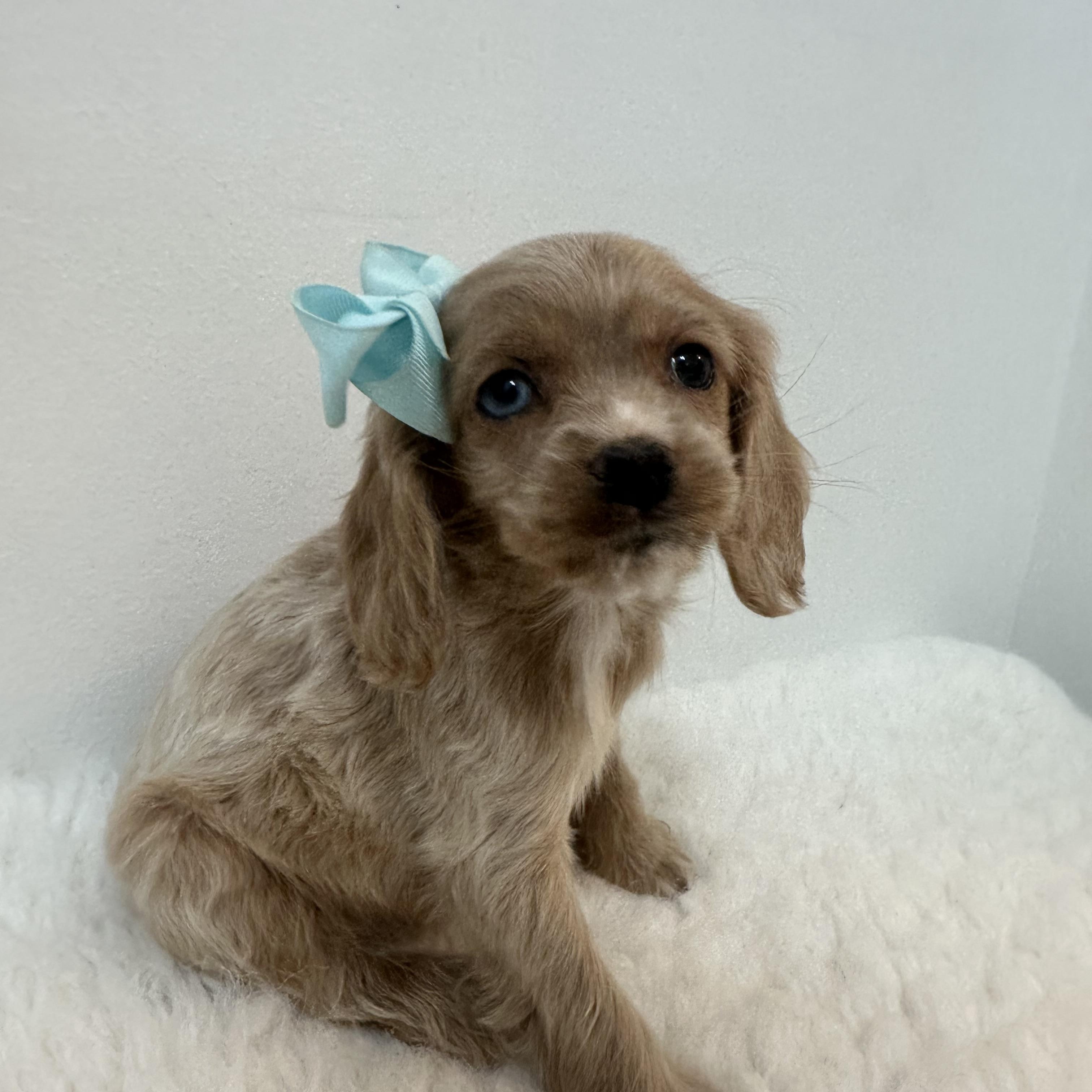 Rosalina thumbnail 3