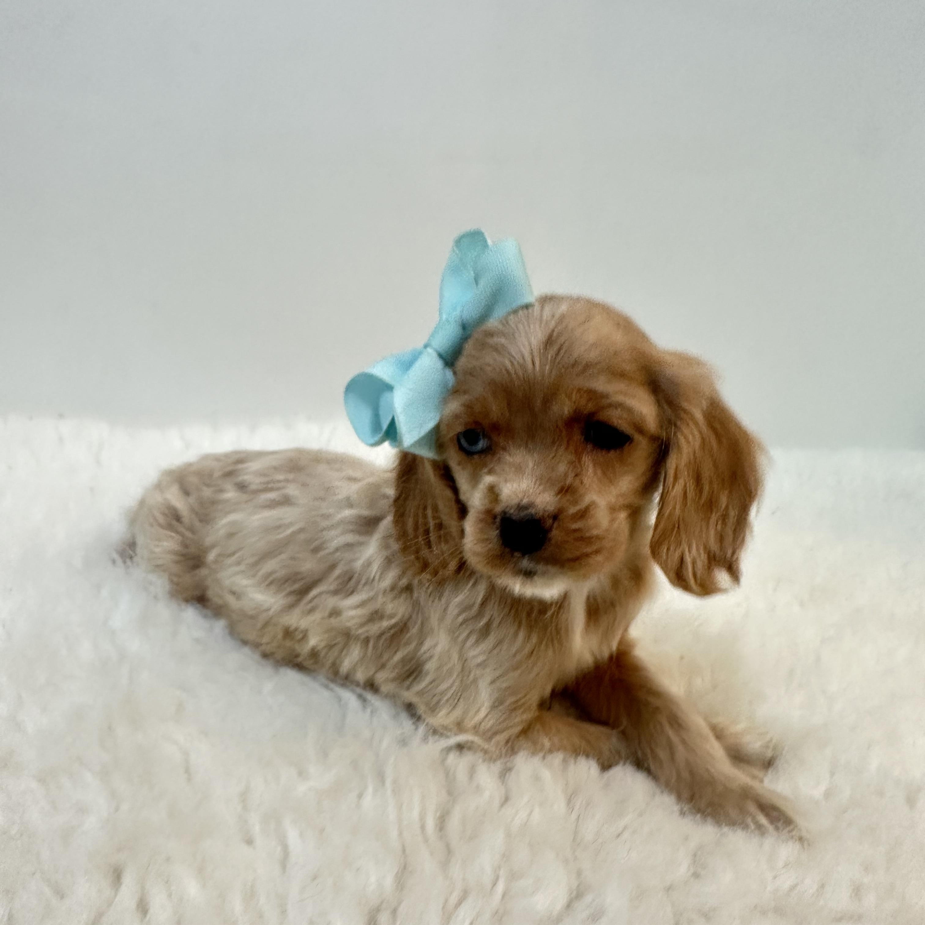 Rosalina thumbnail 6