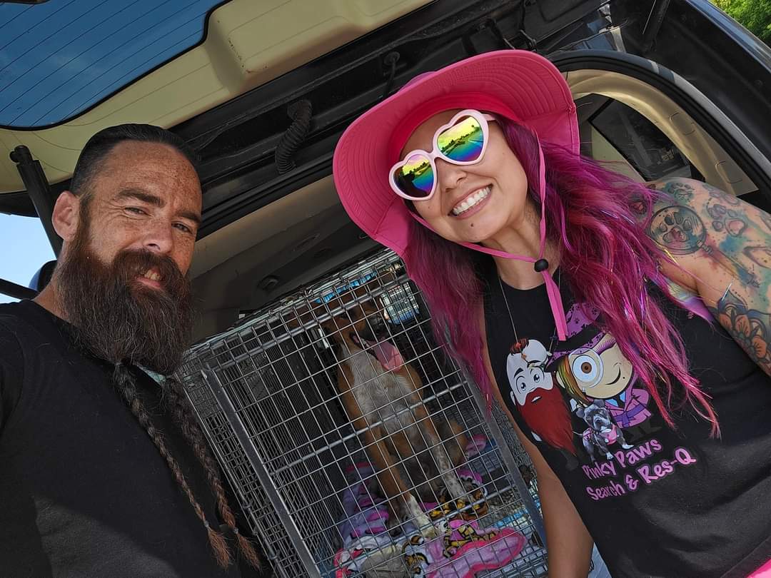 Enlarge Scar, a Adoptable mixed breed in Selma, CA image 3/5