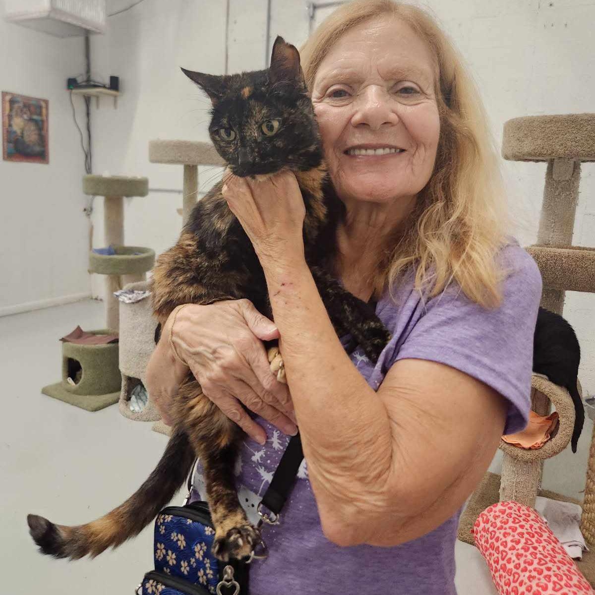 Enlarge Mercedes, a Adoptable mixed breed in West Palm Beach, FL image 2/6