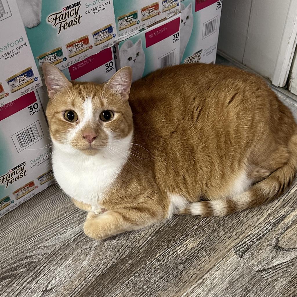 Teena — thumbnail 2