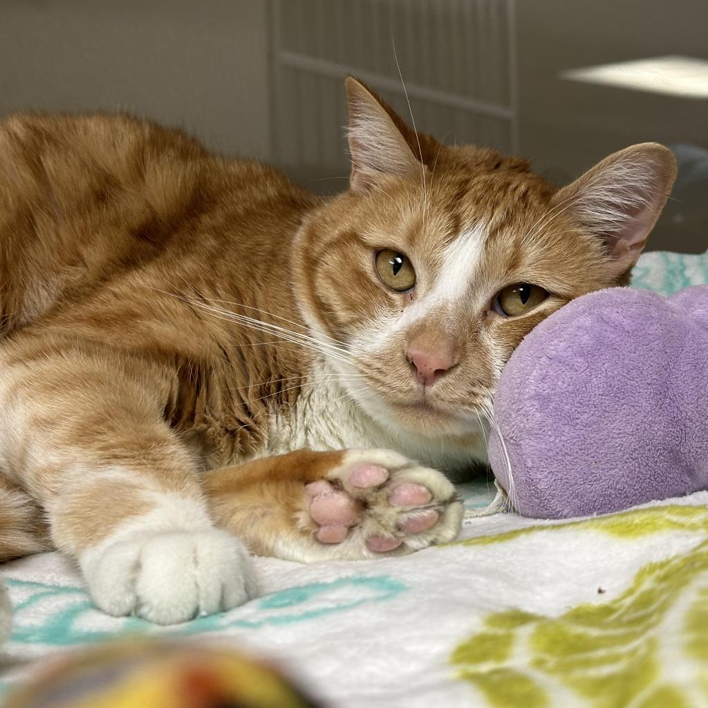 Teena — thumbnail 3