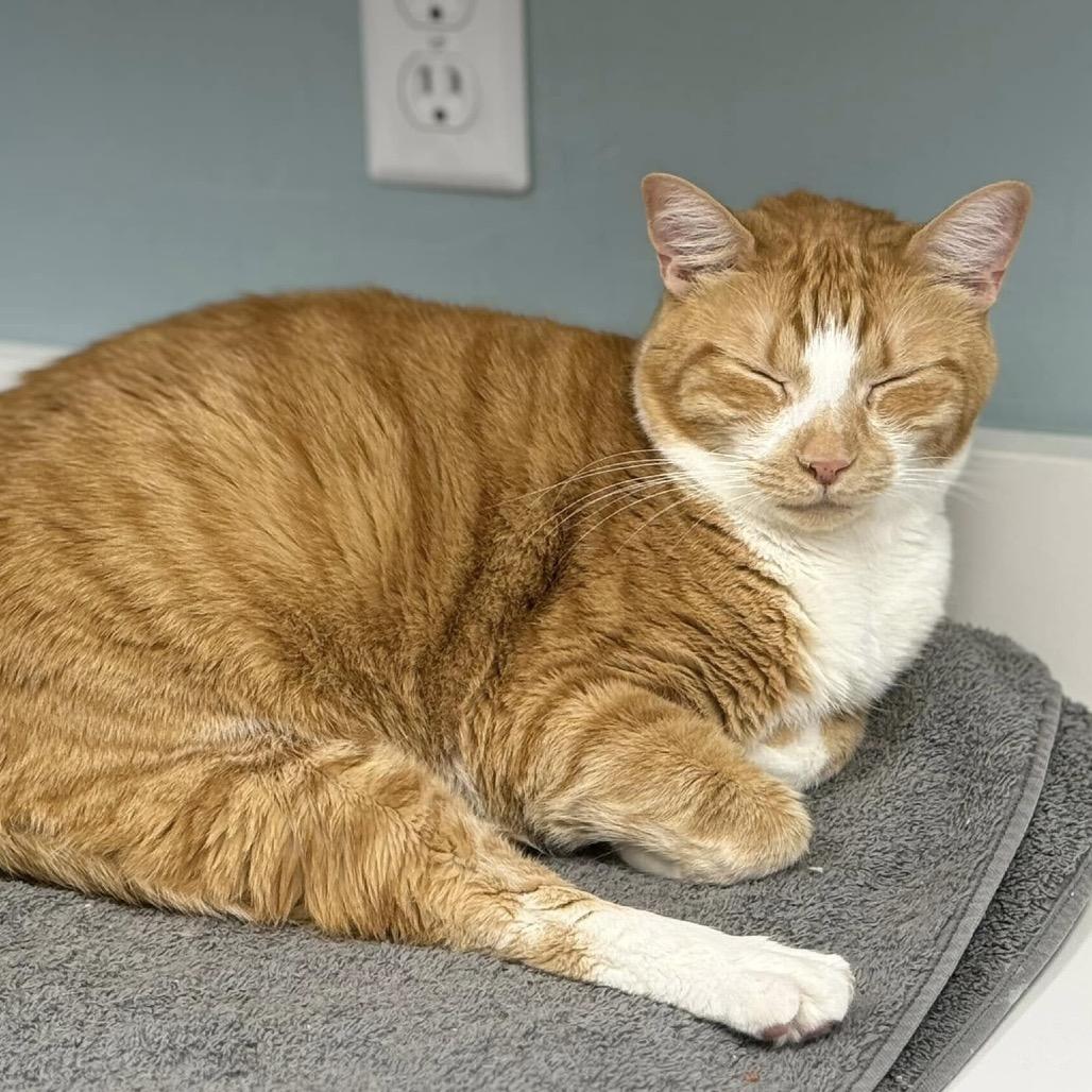 Teena — thumbnail 5