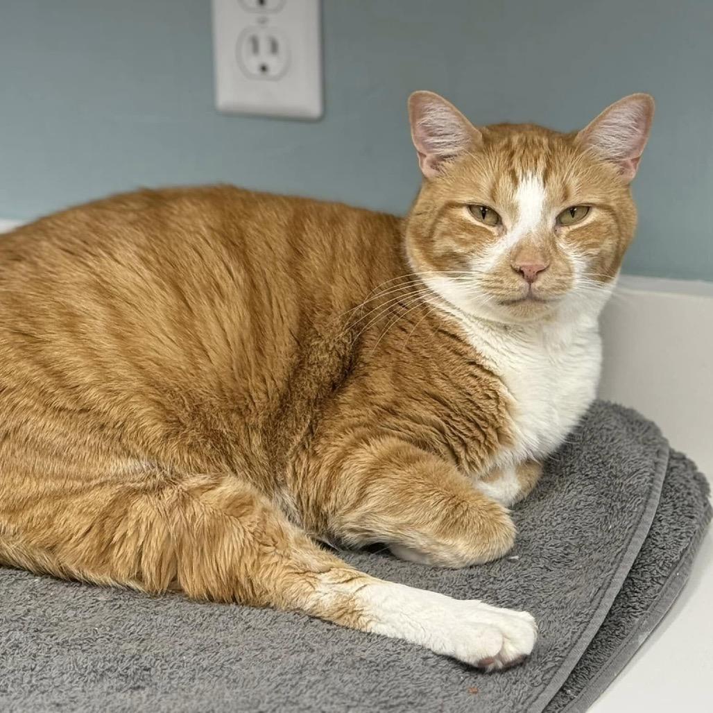 Teena — thumbnail 6