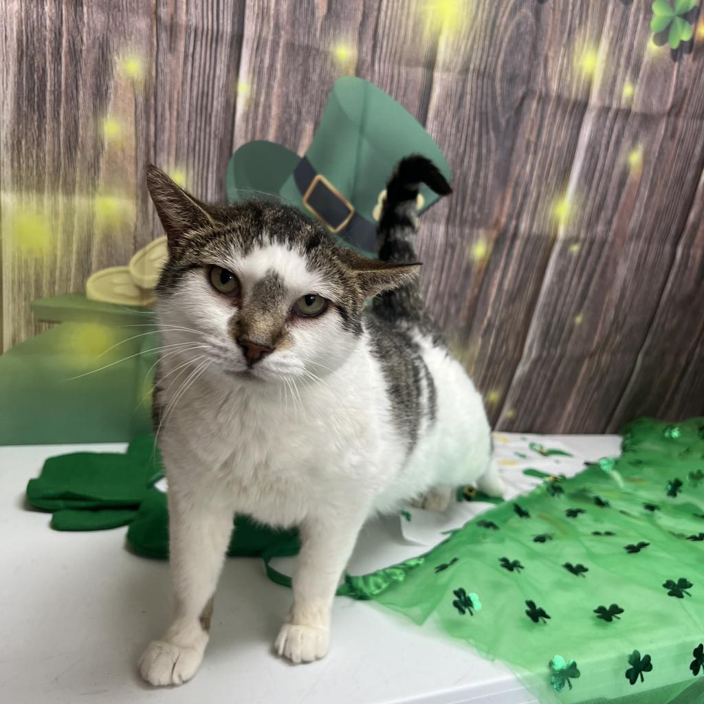 Butch — thumbnail 3