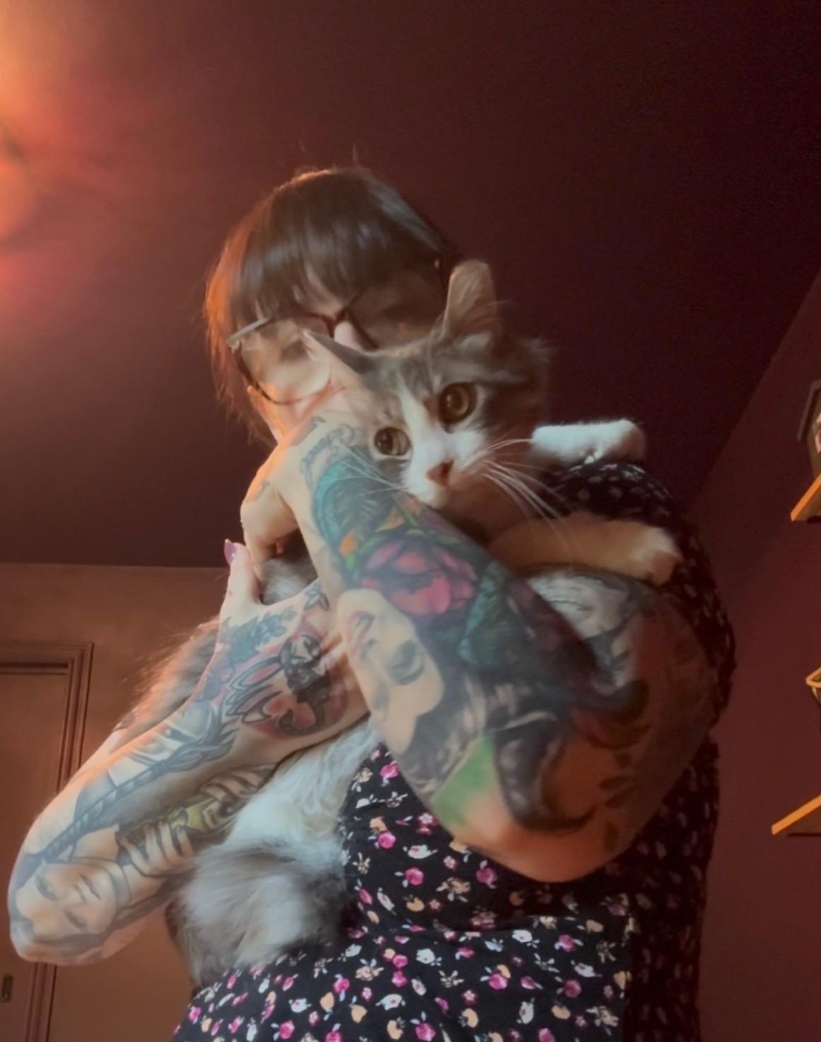 Minnie, an adopted Domestic Long Hair in Bellmawr, NJ image 3/3