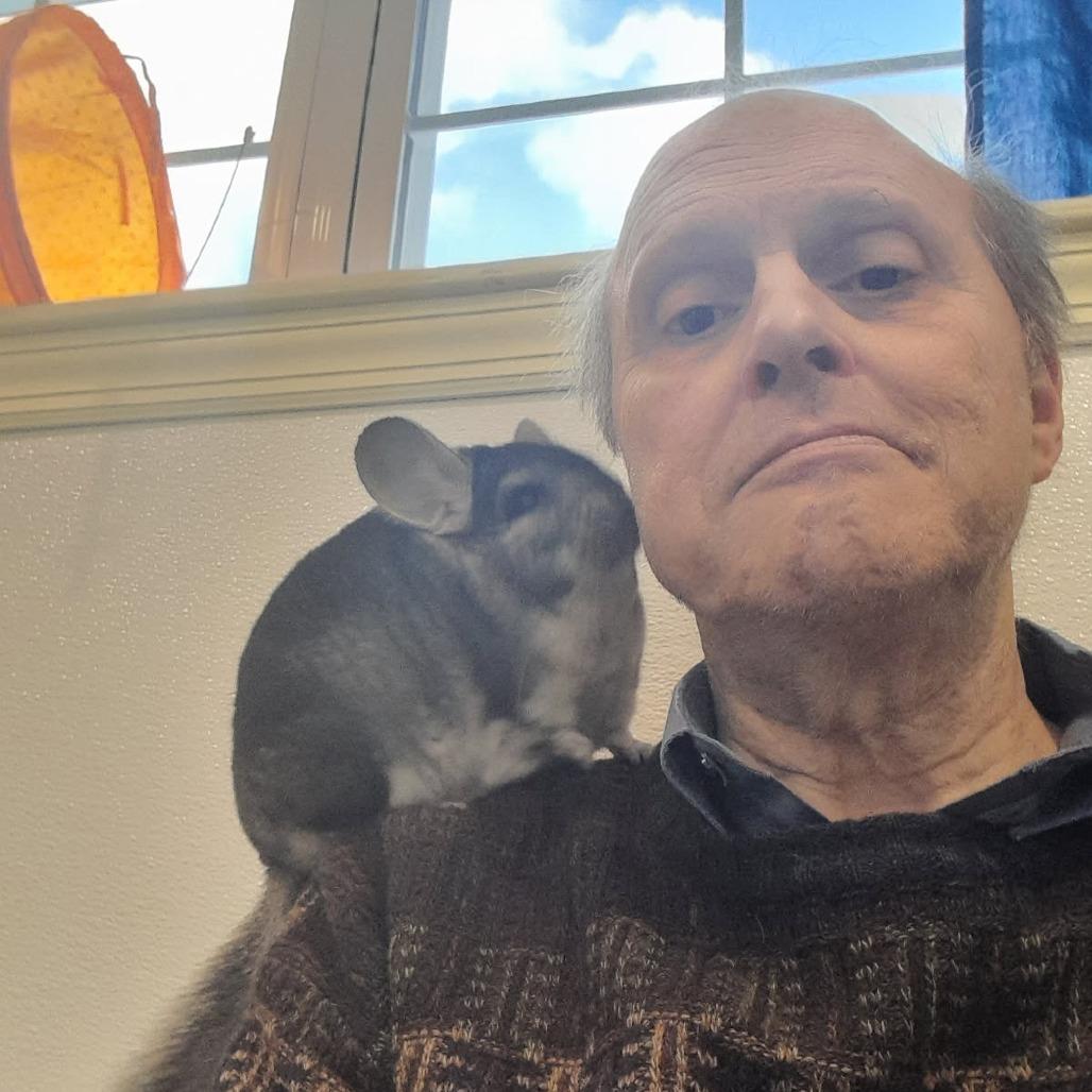 Enlarge Charley, a Adoptable Chinchilla in Manchester, CT image 6/6