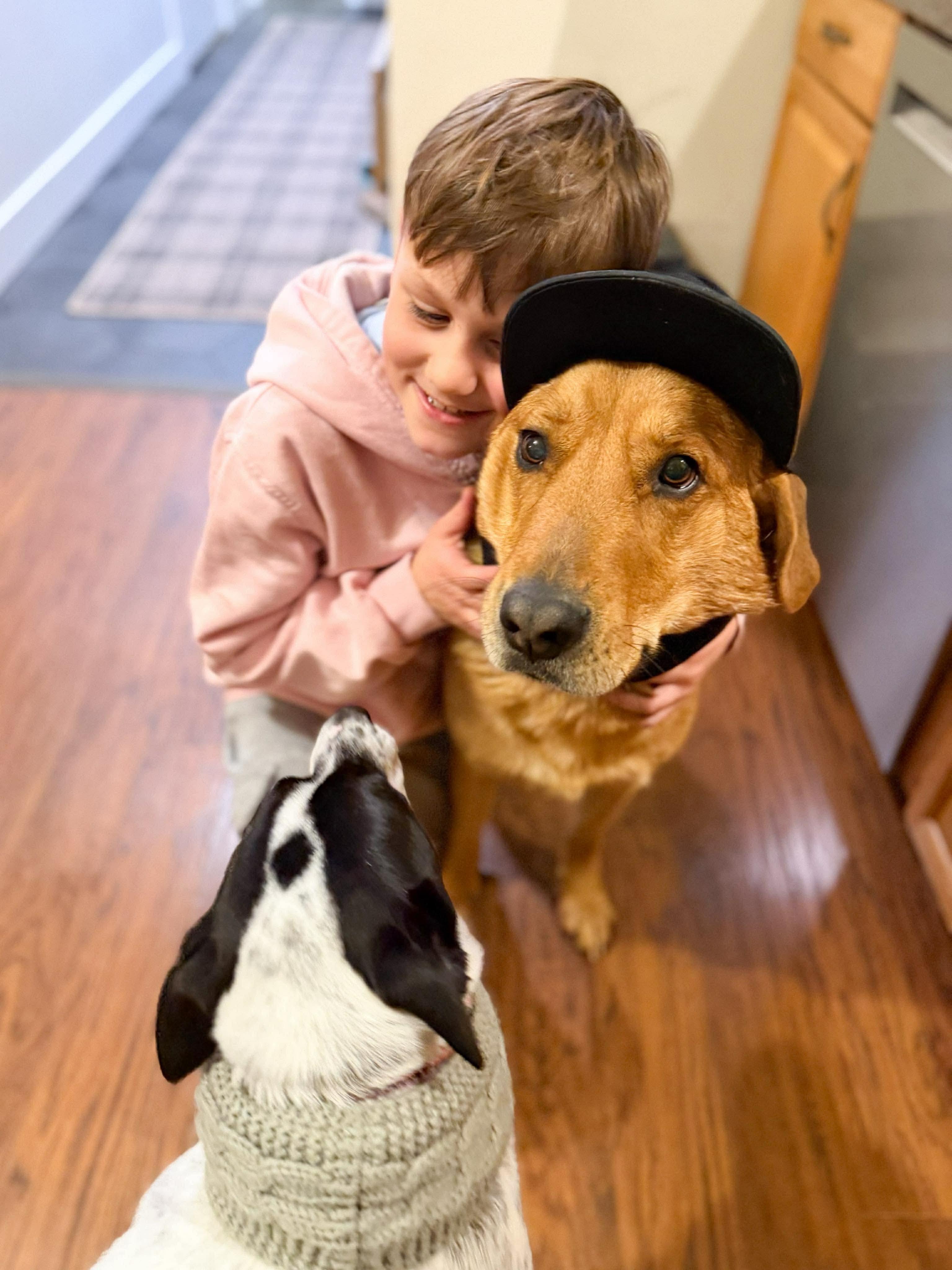 Enlarge Charlie, an adopted mixed breed in Argyle, NY image 5/6